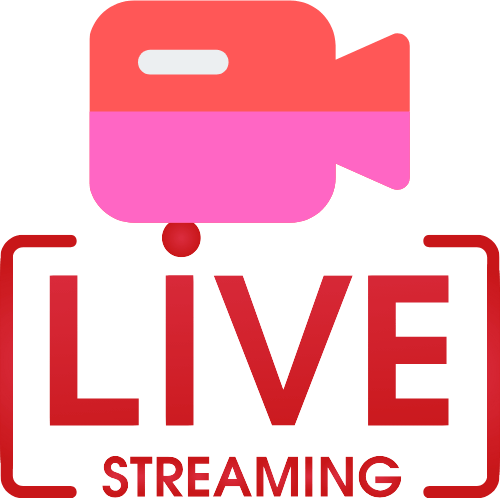 Lovesense Webcam